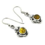 Load image into Gallery viewer, 925 Silver Amber Drop Earrings | Gemstone Jewelry for Women