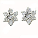 Load image into Gallery viewer, Silver Flower Stud Earrings | Cubic Zirconia | Women's Jewelry