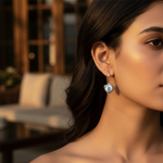 Load image into Gallery viewer, 925 Silver Cubic Zirconia Drop Earrings for Women | Gift
