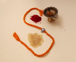 Load image into Gallery viewer, 925 Sterling Silver Turtle Rakhi for Brother | Raksha Bandhan Gift