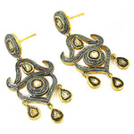 Load image into Gallery viewer, gold plating &amp; Diamond Dangle Earrings for Women | Statement Jewelry
