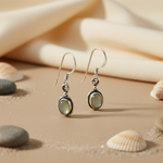 Load image into Gallery viewer, 925 Silver Moonstone Drop Earrings for Women | Daily Wear Gift
