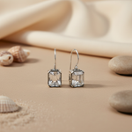 Load image into Gallery viewer, 925 Silver Cubic Zirconia Drop Earrings for Women | Gift
