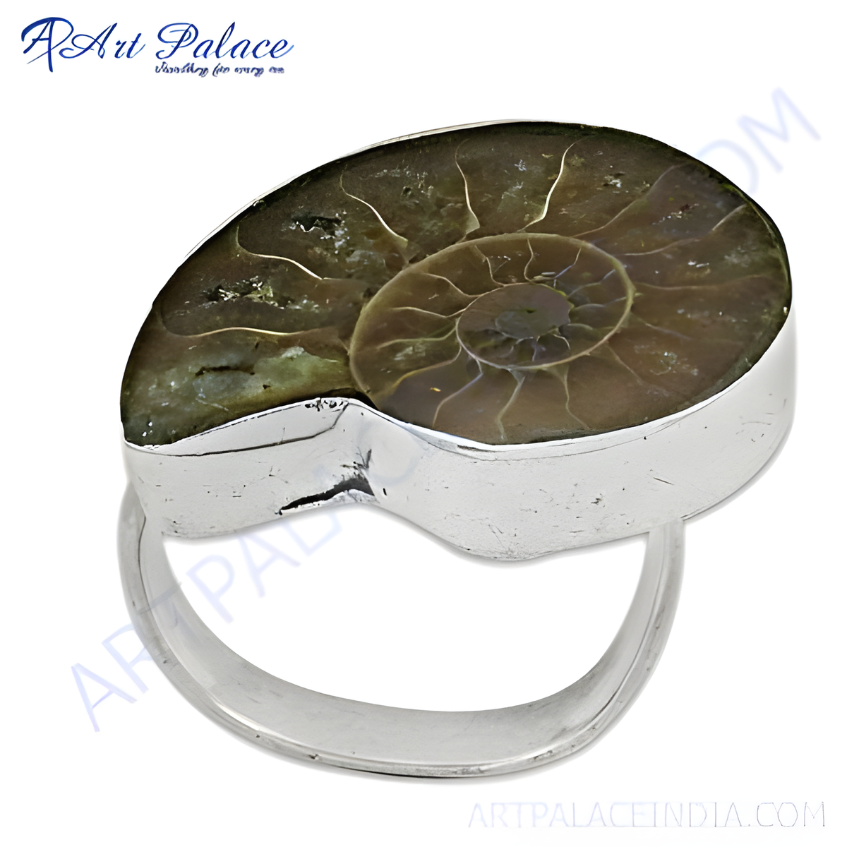 Sterling silver ring featuring a polished ammonite fossil with spiral patterns