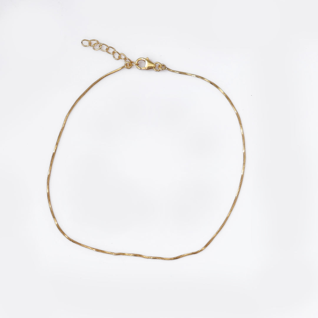 gold plating Snake Chain Anklet for Women | Delicate Foot Jewelry