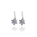 Load image into Gallery viewer, 925 Silver Flower Earrings | Cubic Zirconia | Women's Jewelry
