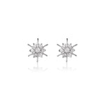 Load image into Gallery viewer, 925 Silver Diamond Stud Earrings for Women | Gift Jewelry
