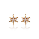 Load image into Gallery viewer, gold plating Floral Stud Earrings with Diamonds | Women's Jewelry Gift
