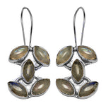 Load image into Gallery viewer, 925 Silver Moonstone Leaf Earrings | For Women | Gift
