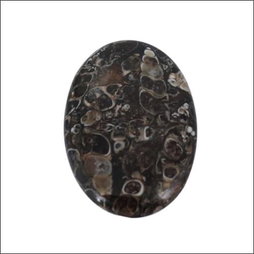 Emotional Energy Turritella Agate Stone Latest Agate Stone Brown Stones