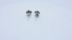 Load and play video in Gallery viewer, 925 Silver Sapphire Stud Earrings for Women | Gift Jewelry
